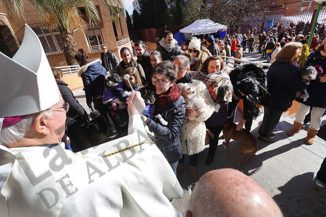 SAN ANTÓN, UNA ENTRAÑABLE TRADICIÓN  / ARTURO PÉREZ