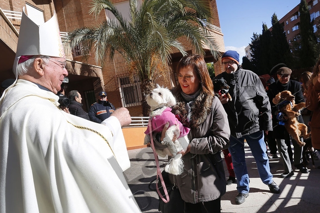 SAN ANTÓN, UNA ENTRAÑABLE TRADICIÓN  / ARTURO PÉREZ