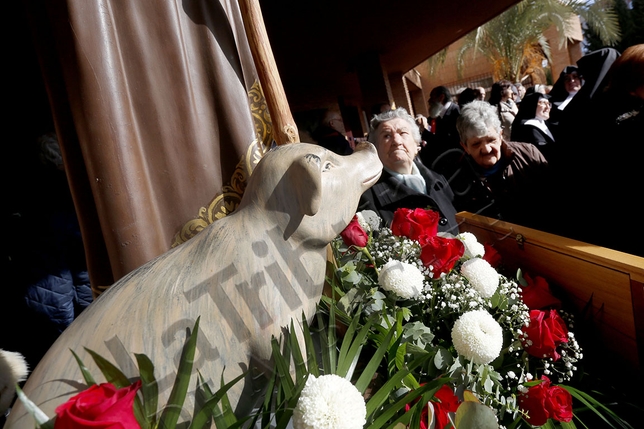 SAN ANTÓN, UNA ENTRAÑABLE TRADICIÓN  / ARTURO PÉREZ