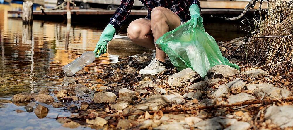 Solo cuatro áreas clave para la Consevación de las Aves y la Biodiversidad del país están libres de tóxicos. 