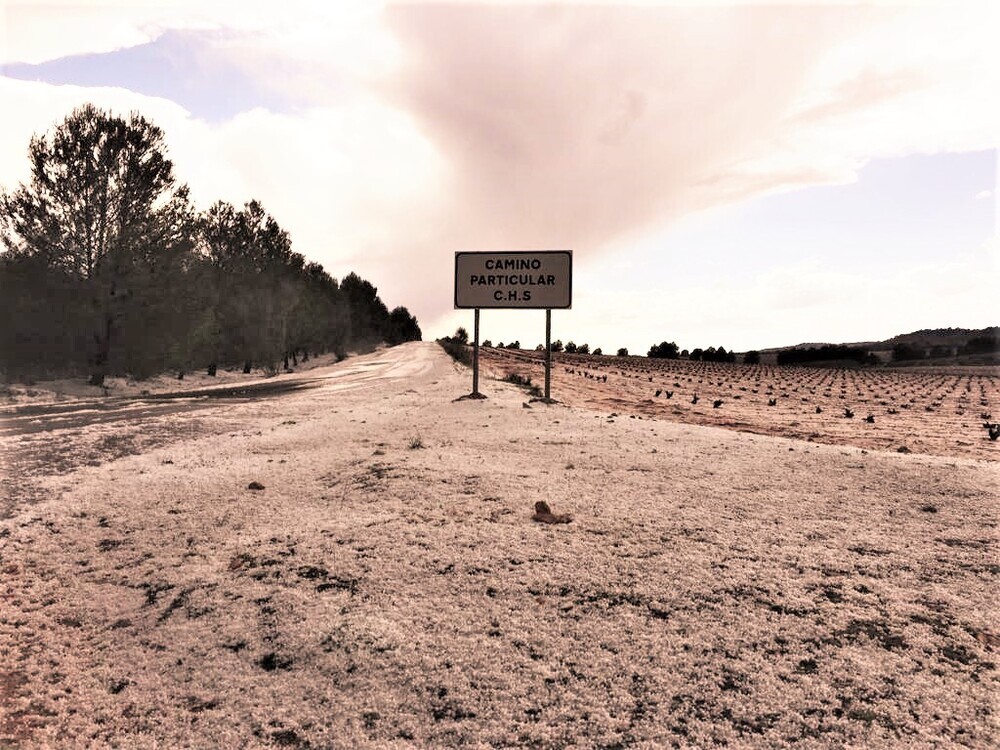 El granizo cubrió una amplia zona entre Hellín y Tobarra.