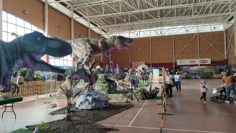 Animación a raudales en el pabellón ferial de Villarrobledo