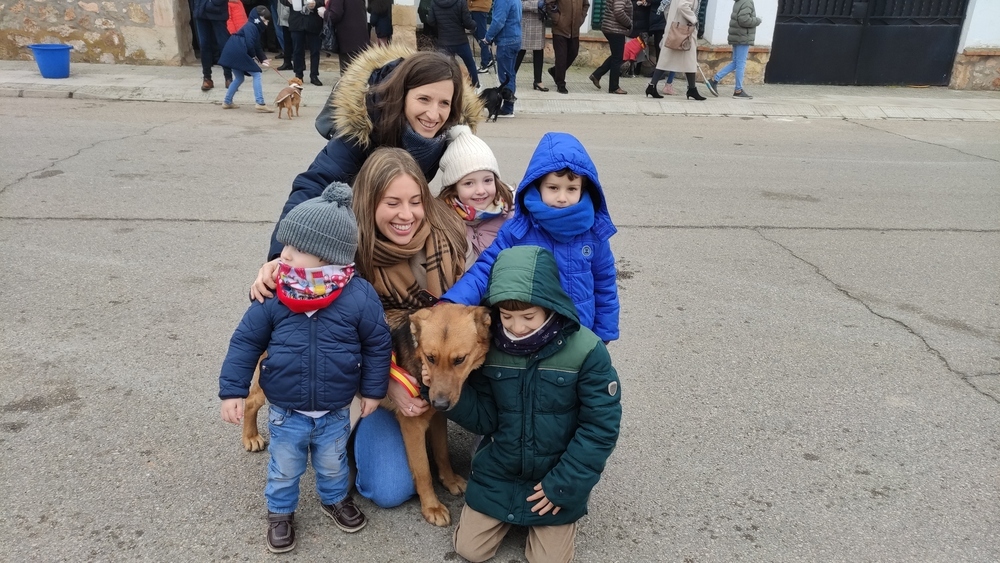 En Villarrobledo hasta san Antón Pascuas son