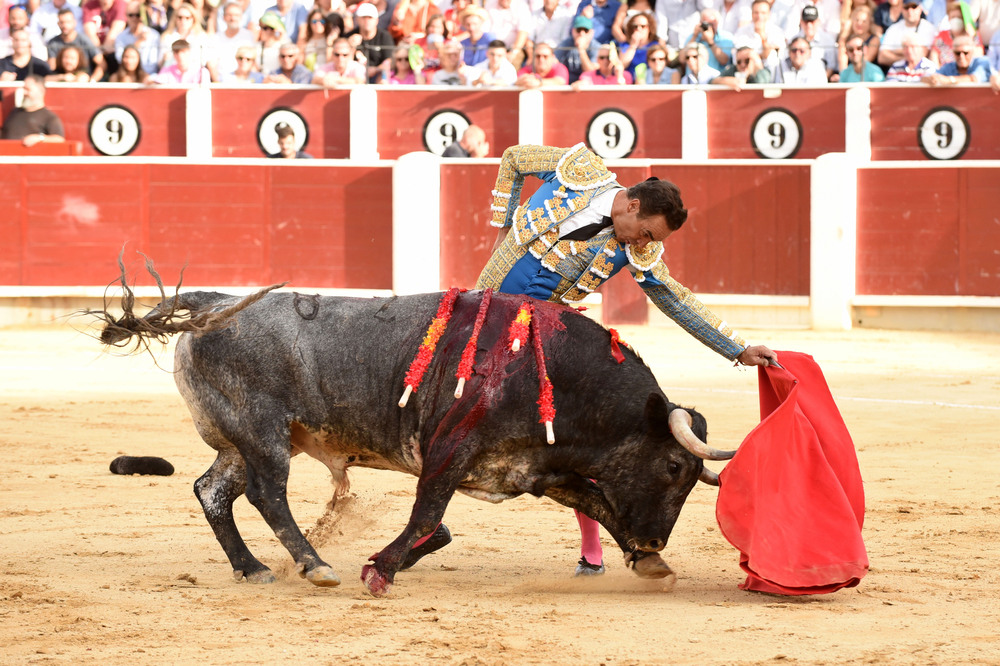 Un momento del festejo  / ALCOLEA