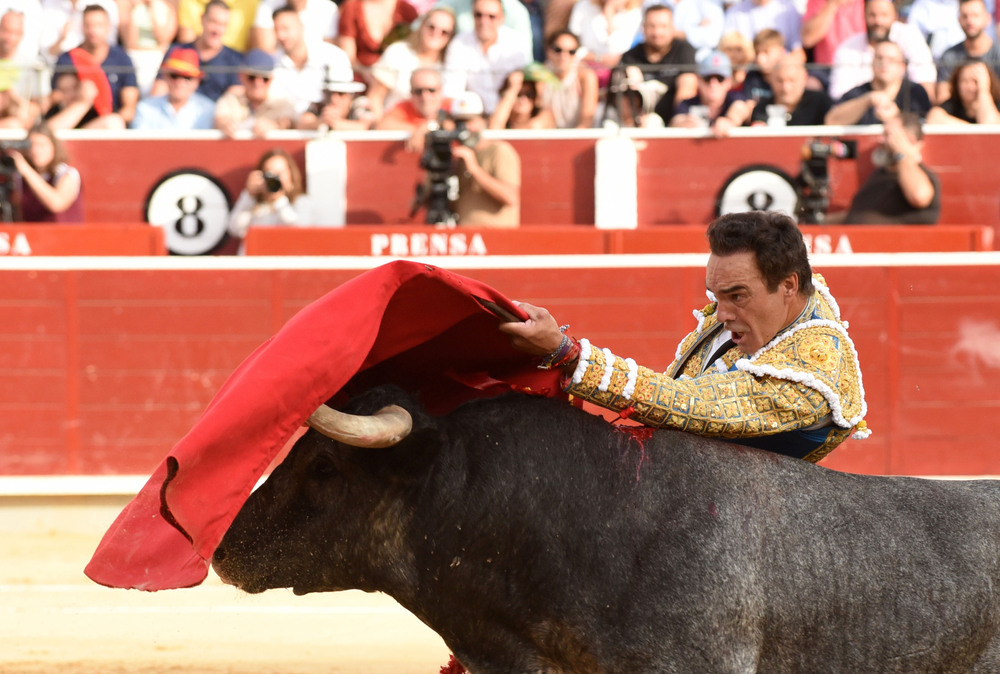 Un momento del festejo  / ALCOLEA