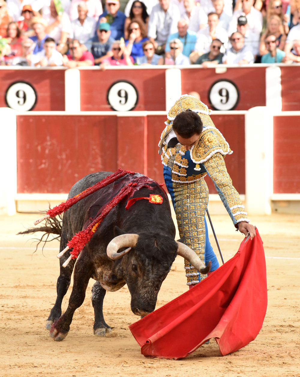 Un momento del festejo  / ALCOLEA