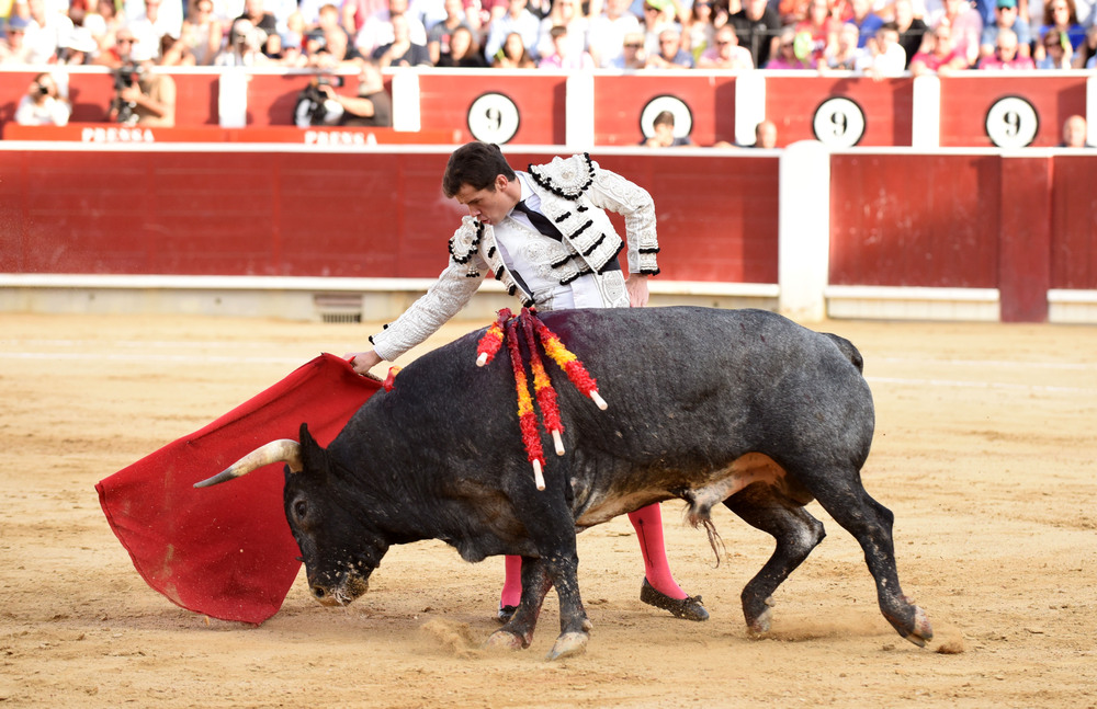 Un momento del festejo  / ALCOLEA