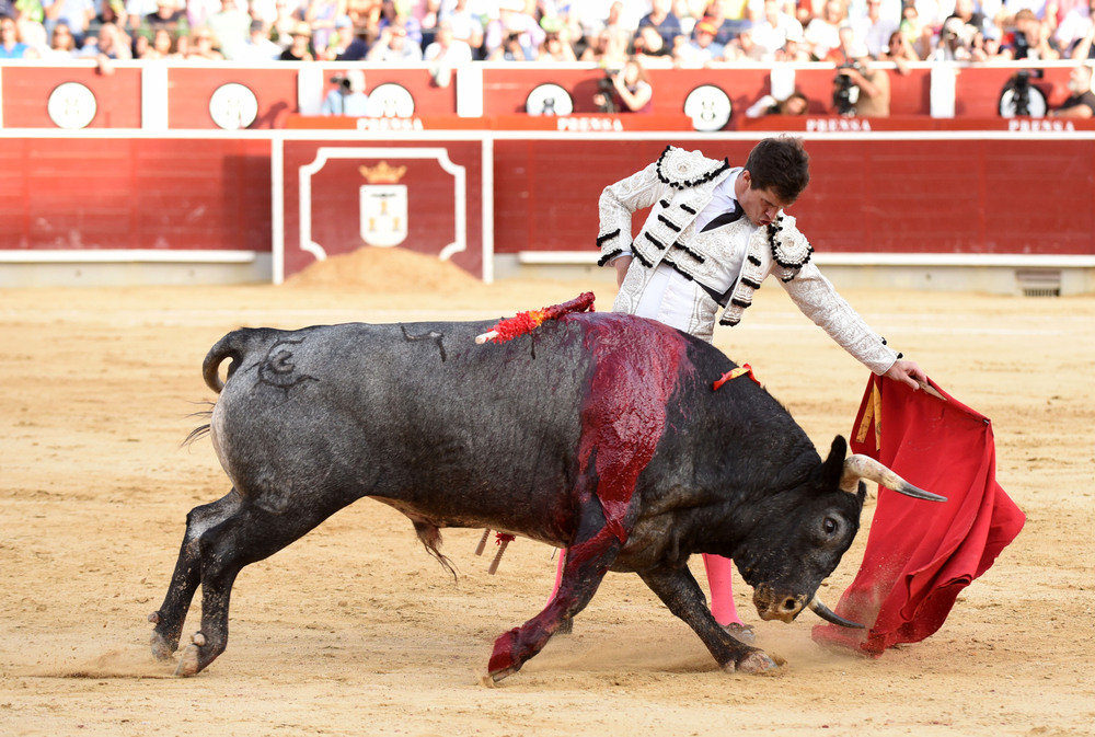 Un momento del festejo  / ALCOLEA