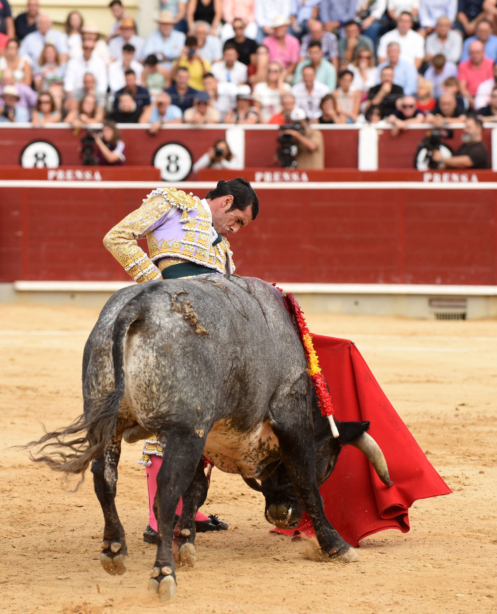 Un momento del festejo  / ALCOLEA