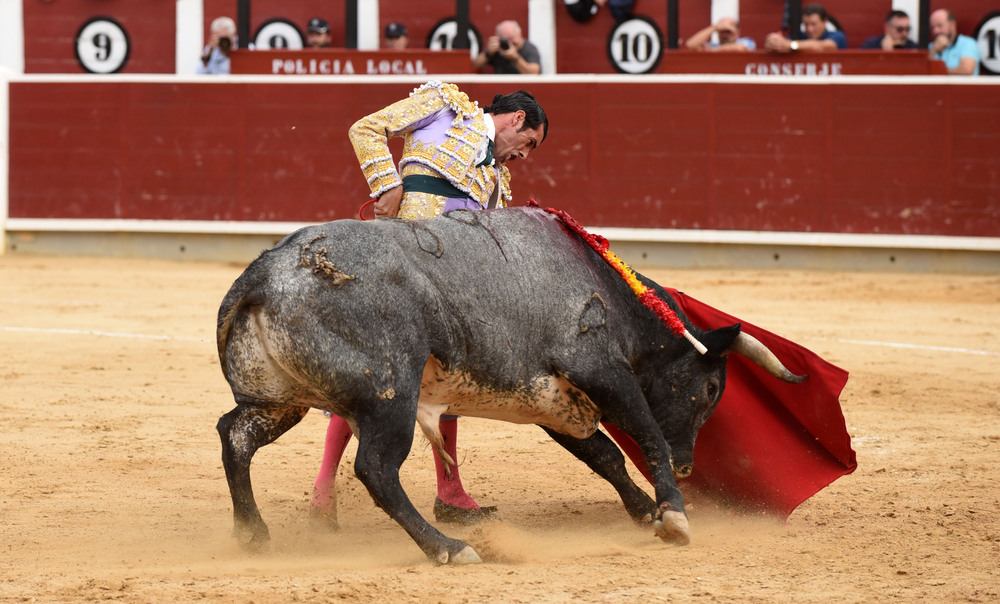 Un momento del festejo  / ALCOLEA