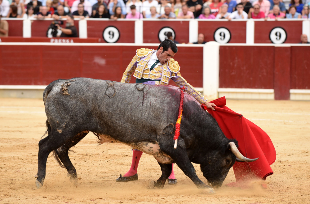 Un momento del festejo  / ALCOLEA