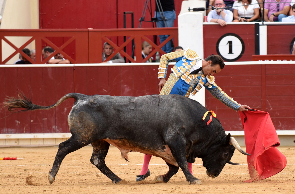 Un momento del festejo  / ALCOLEA