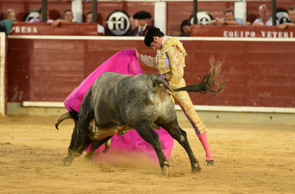 Un momento del festejo  / ALCOLEA