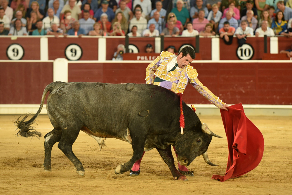 Un momento del festejo  / ALCOLEA