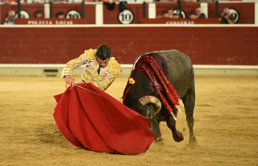 Un momento del festejo  / ALCOLEA