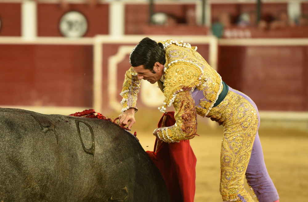 Un momento del festejo  / ALCOLEA