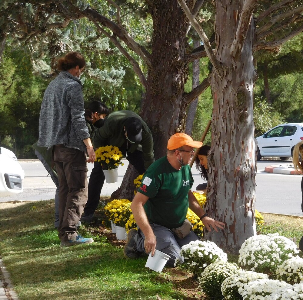 Finaliza con éxito el taller de jardinería de Villarrobledo