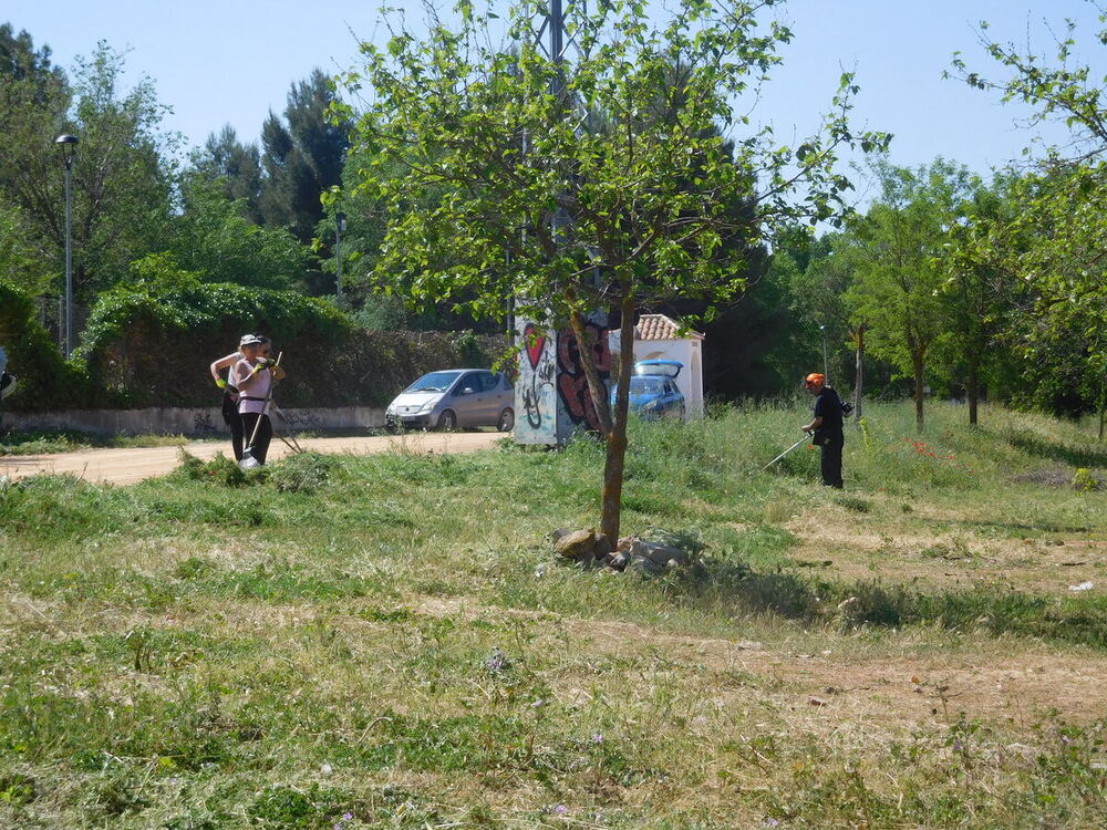 Finaliza con éxito el taller de jardinería de Villarrobledo