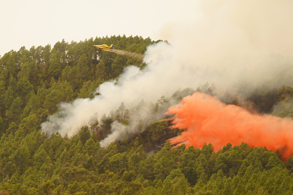 7.600 personas evacuadas en Tenerife en el incendio  / AGENCIAS