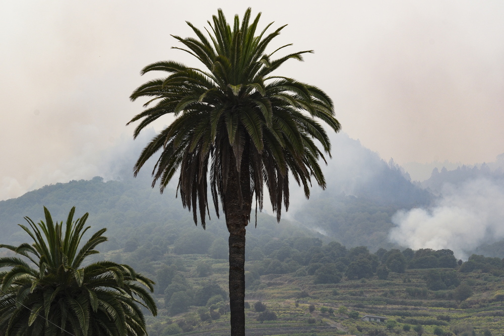 El incendio de Tenerife sigue sin control  / ALBERTO VALDÉS