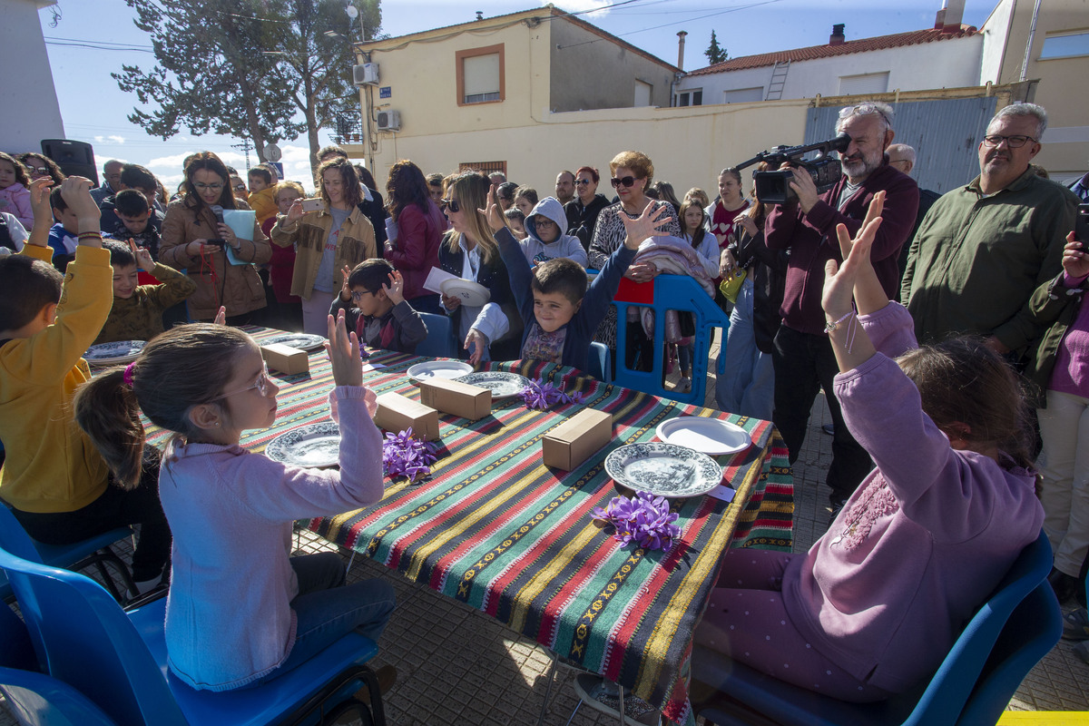  Festival de la Rosa del Azafrán  / JOSÉ MIGUEL ESPARCIA