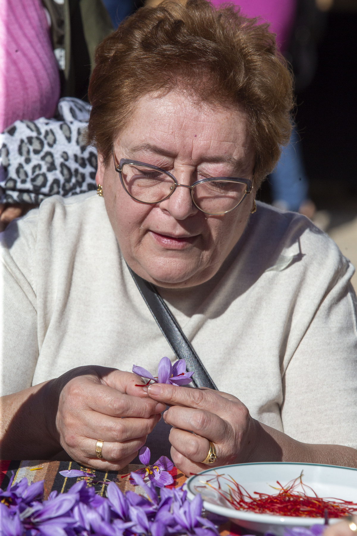  Festival de la Rosa del Azafrán  / JOSÉ MIGUEL ESPARCIA