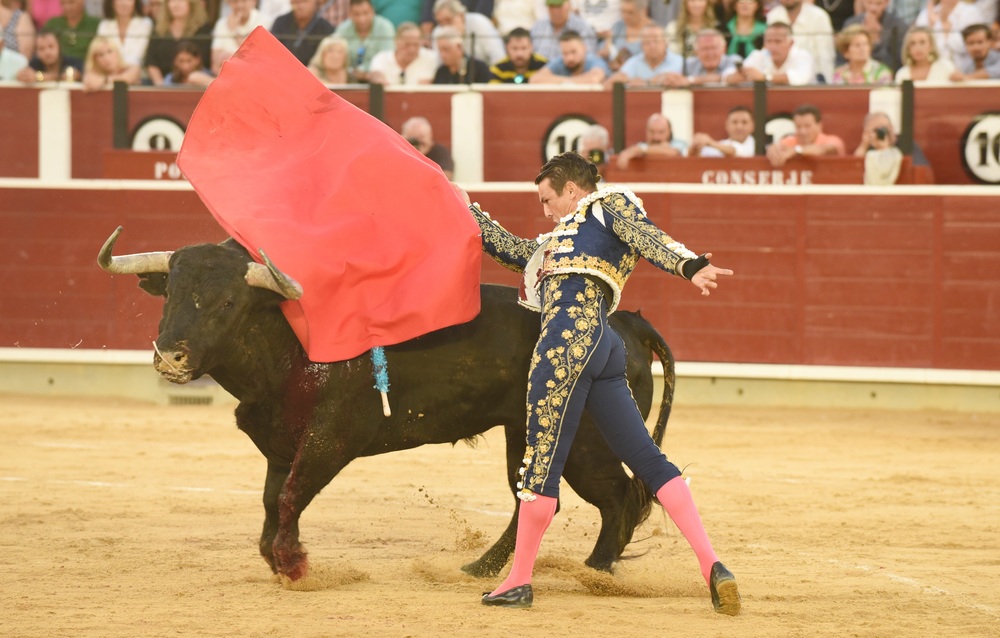 Un momento del festejo  / ALCOLEA