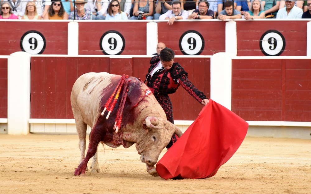 Un momento del festejo  / ALCOLEA