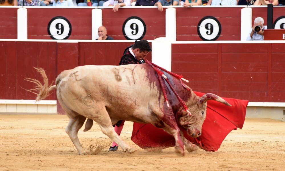 Un momento del festejo  / ALCOLEA