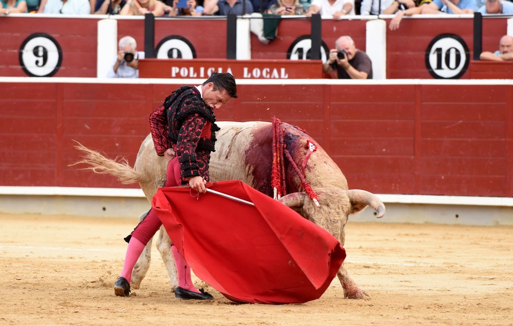 Un momento del festejo  / ALCOLEA