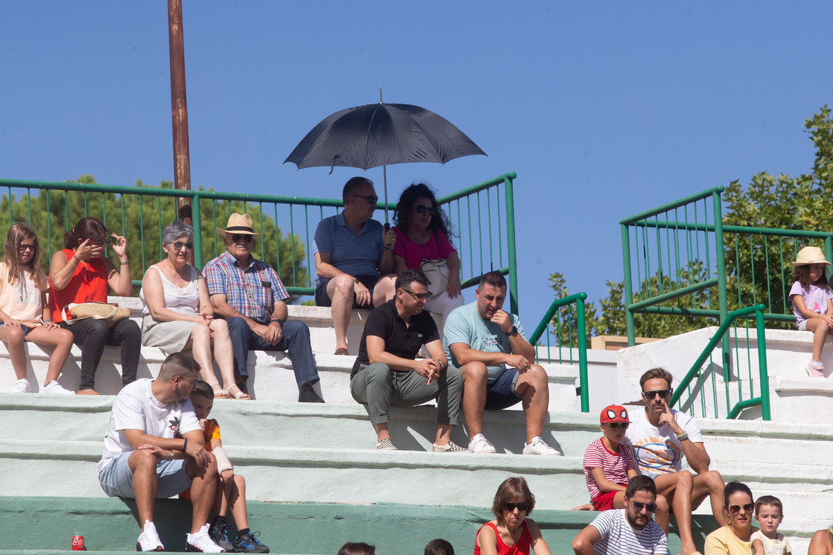 Exhibición de natación sincronizada  / JOSÉ MIGUEL ESPARCIA