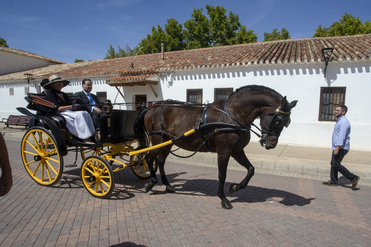 La cabalgata ecuestre llenó la feria de color  / JOSÉ MIGUEL ESPARCIA