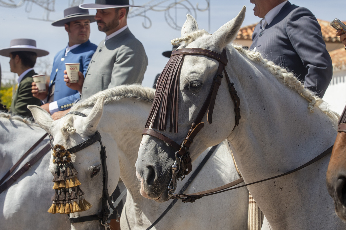 La cabalgata ecuestre llenó la feria de color  / JOSÉ MIGUEL ESPARCIA