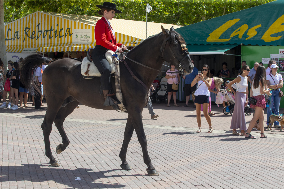 La cabalgata ecuestre llenó la feria de color  / JOSÉ MIGUEL ESPARCIA