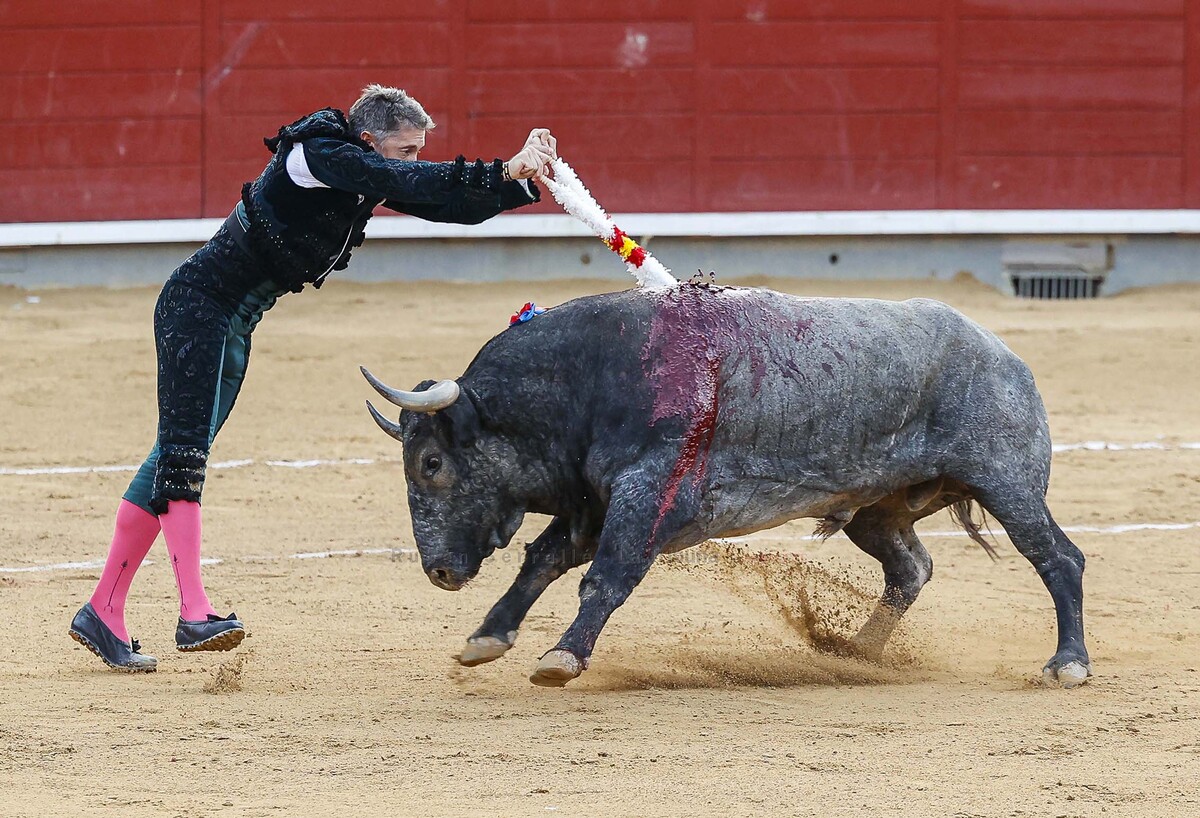 RUBÉN SERRALLÉ