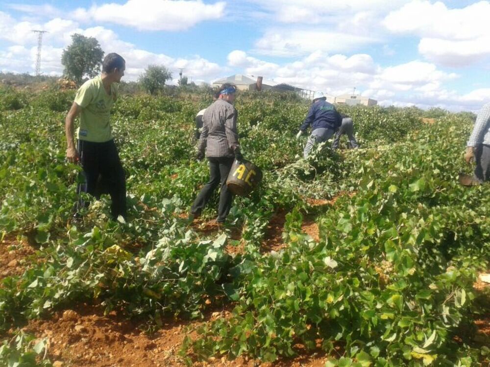 La mesa por la inmigración local sin campaña de temporeros