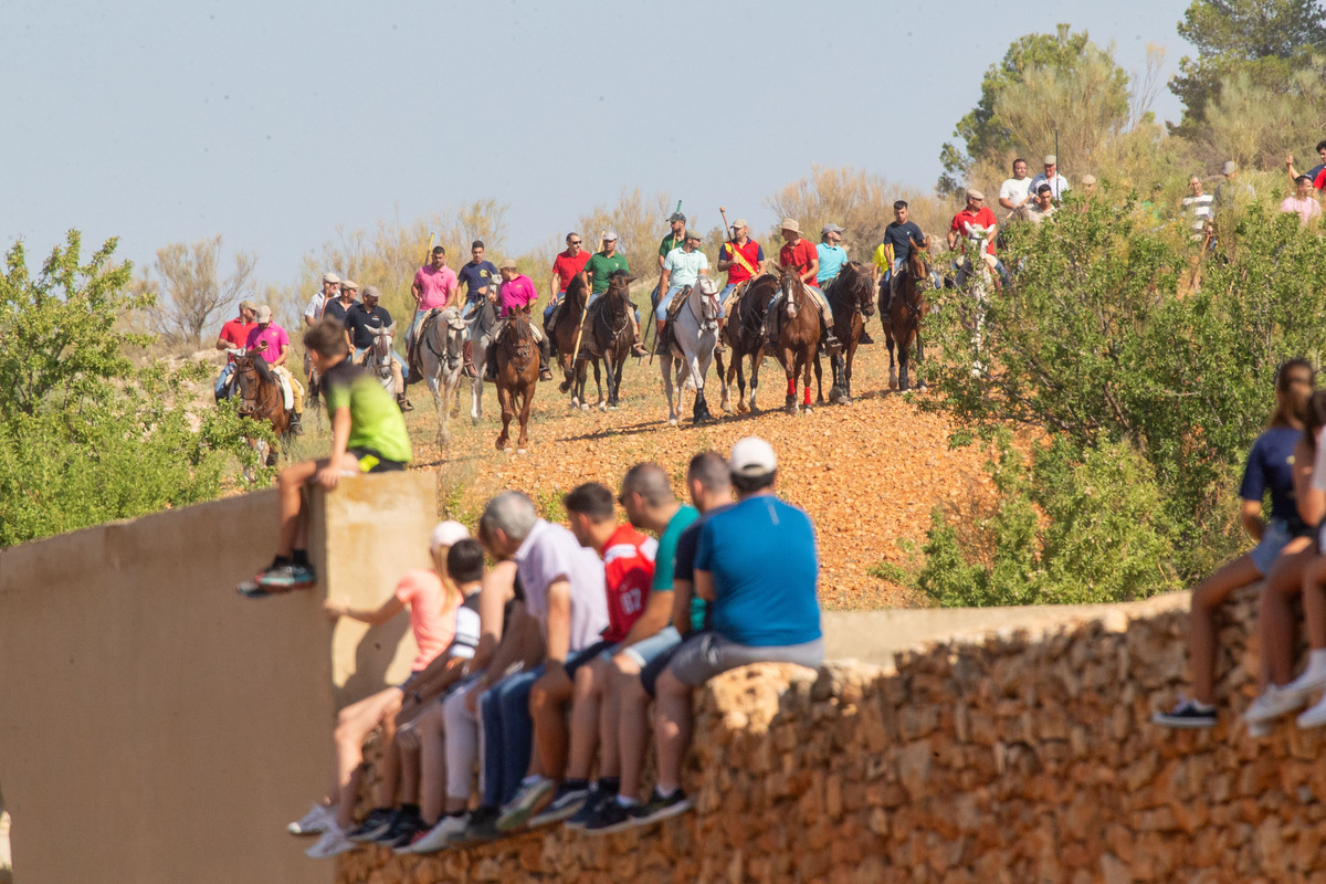 Los toros llegan a Alcadozo  / JOSÉ MIGUEL ESPARCIA