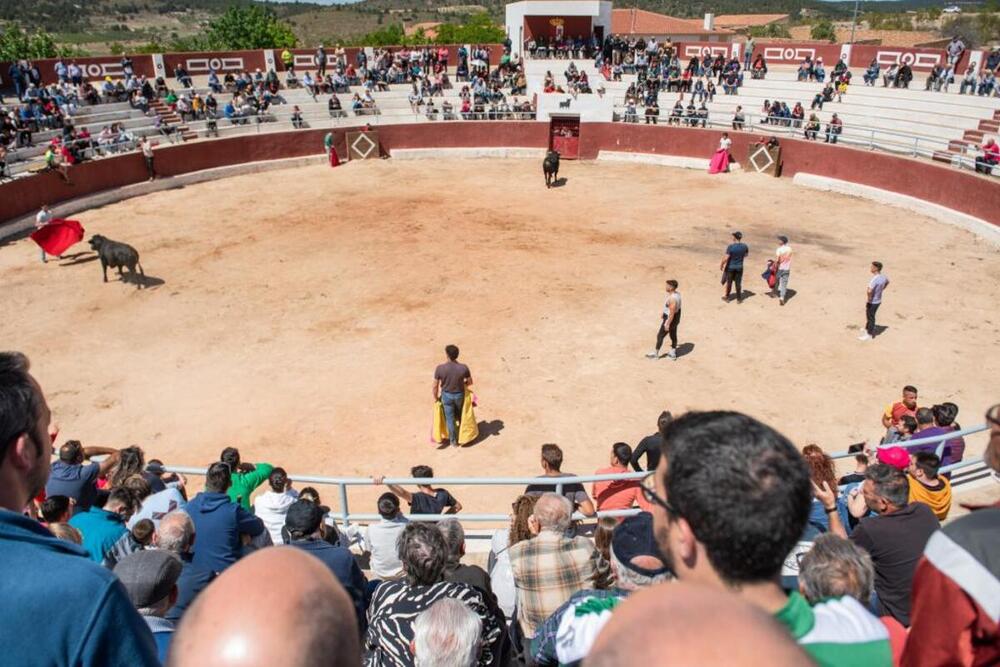 Plaza de toros de Alcadozo.