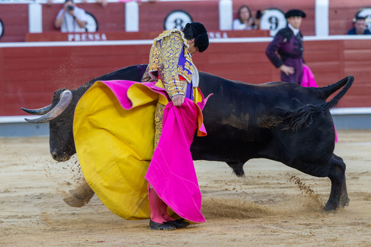 JOSÉ MIGUEL ESPARCIA