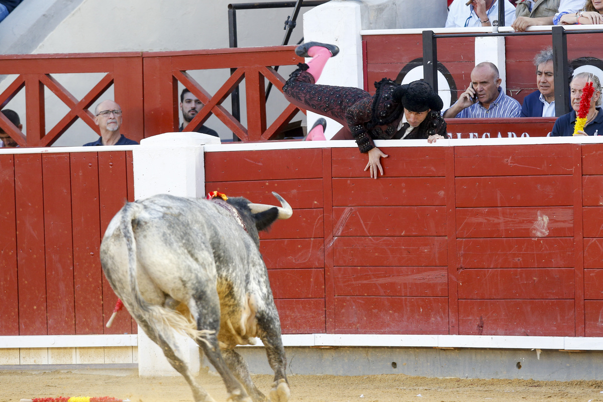 Un momento del festejo  / JOSÉ MIGUEL ESPARCIA