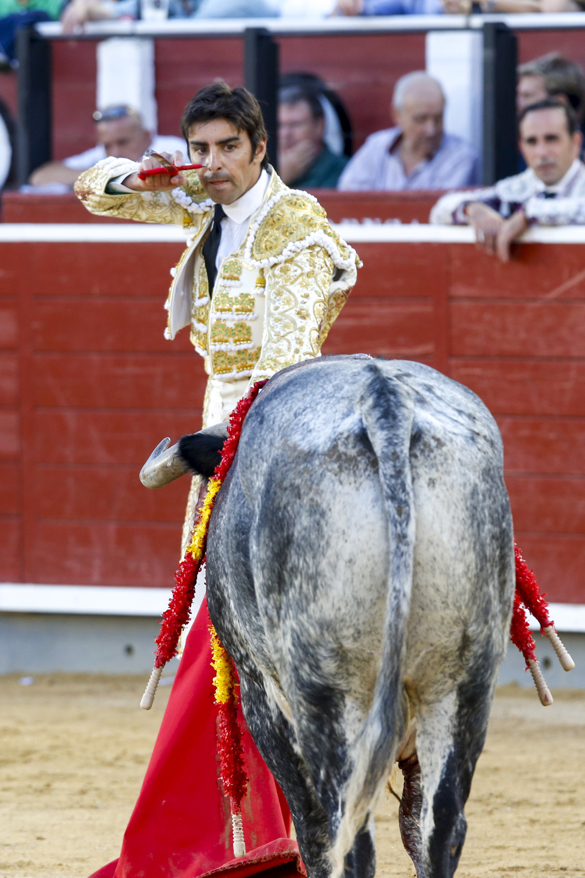 Un momento del festejo  / JOSÉ MIGUEL ESPARCIA