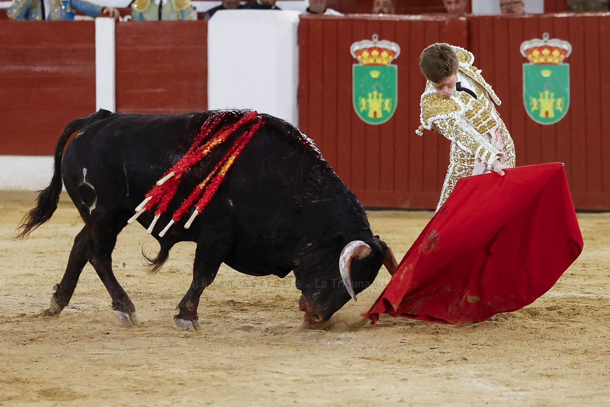 La Tribuna de Albacete