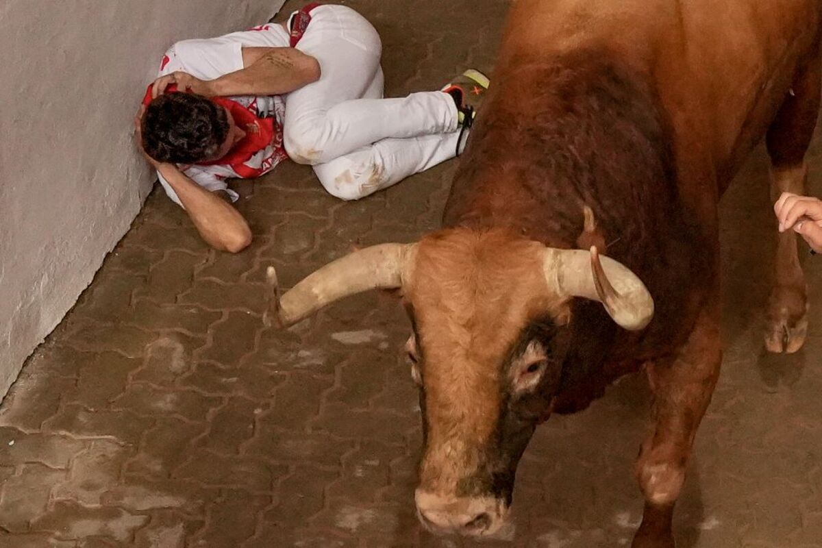 Los toros de Domingo Hernández en el quinto encierro de los Sanfermines  / SERGIO MARTÍN