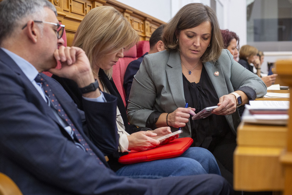 PSOE y PP aíslan a Vox en las Cortes por la violencia machista