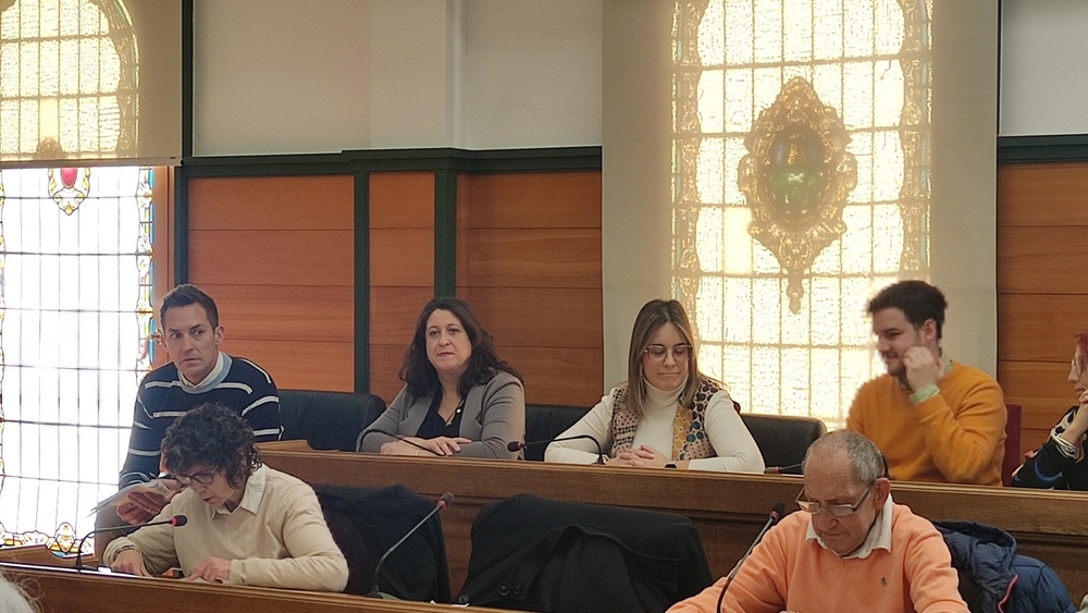 Día de la Discapacidad y Pleno reivindicativo en Villarrobledo