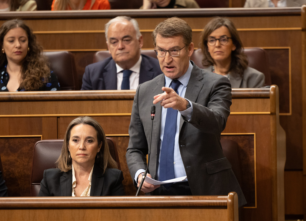 El presidente del PP, Alberto Núñez Feijóo, interviene durante una sesión de control al Gobierno