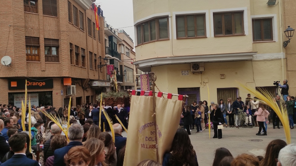 El viento agitó las palmas y olivos del Domingo de Ramos 
