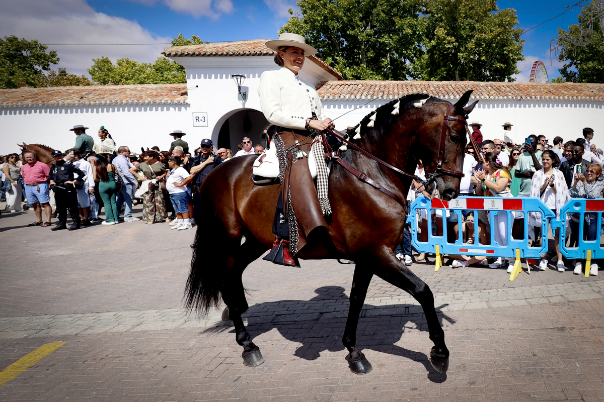 ARTURO PÉREZ