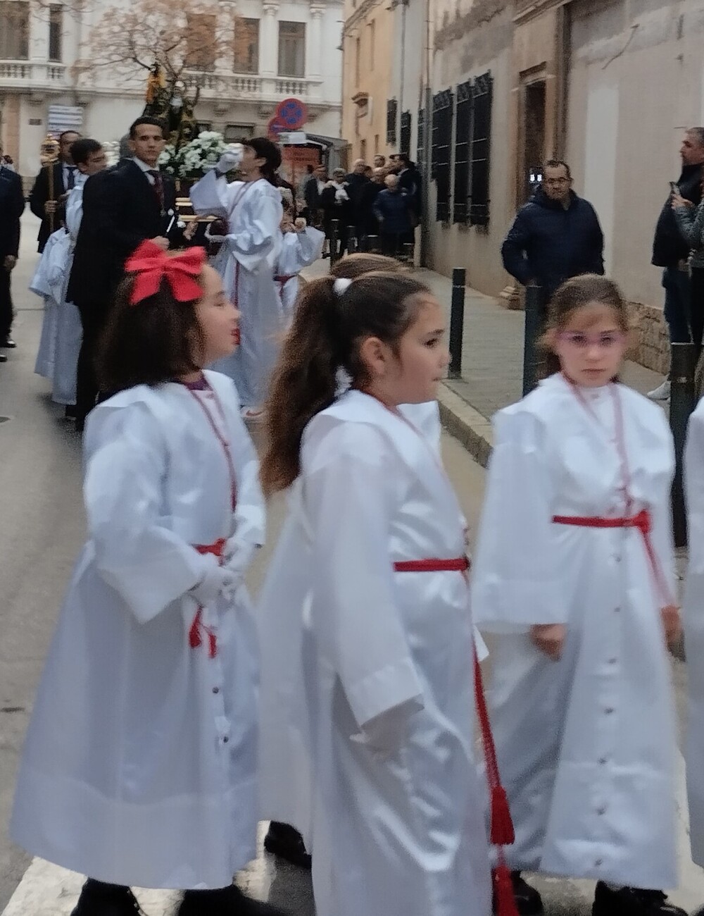 El viento agitó las palmas y olivos del Domingo de Ramos