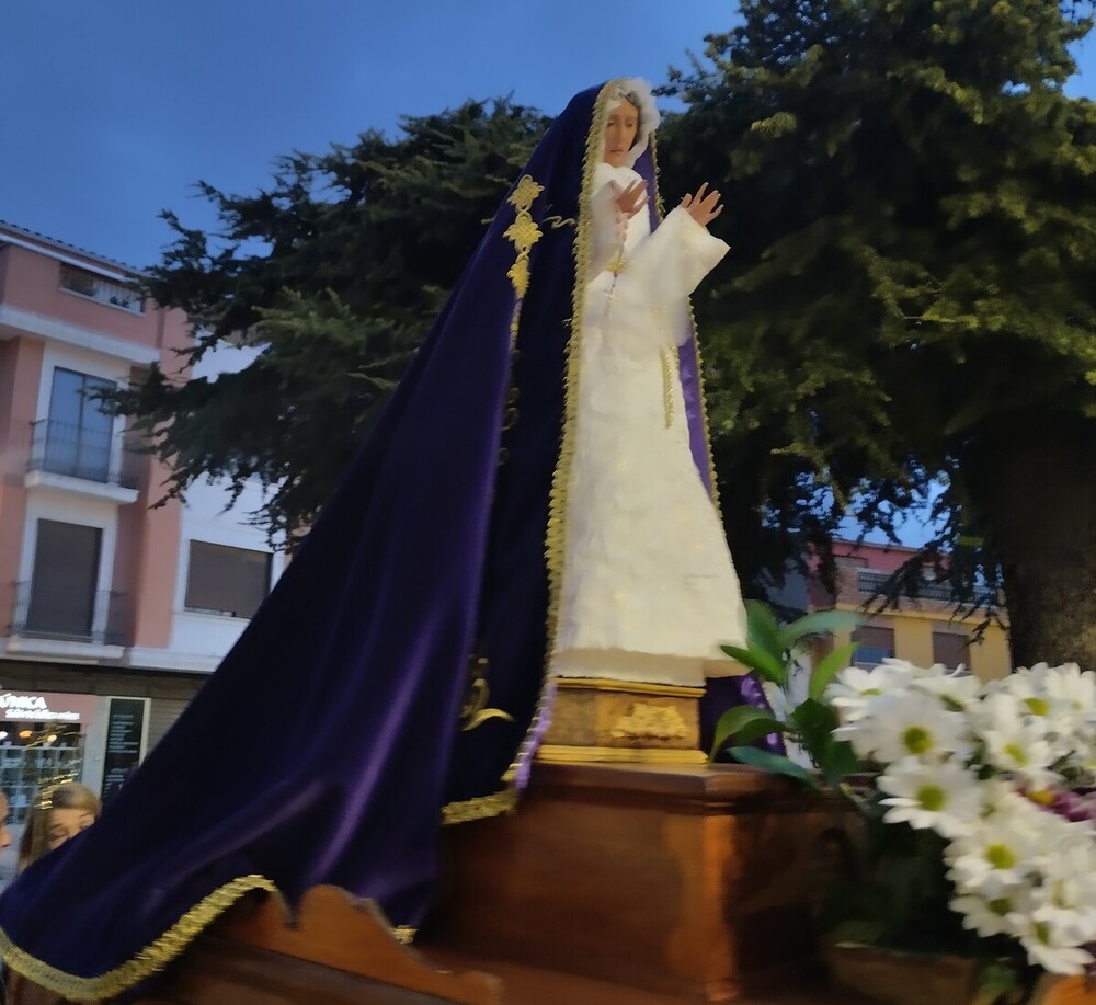 El viento agitó las palmas y olivos del Domingo de Ramos